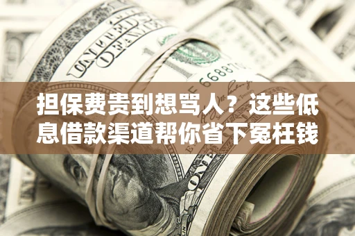 济南担保费贵到想骂人？这些低息借款渠道帮你省下冤枉钱