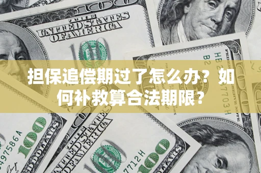 济南担保追偿期过了怎么办？如何补救算合法期限？