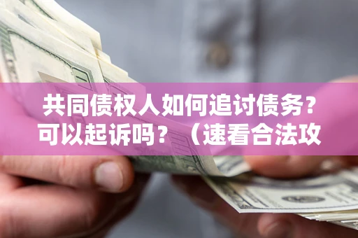 济南共同债权人如何追讨债务？可以起诉吗？（速看合法攻略）